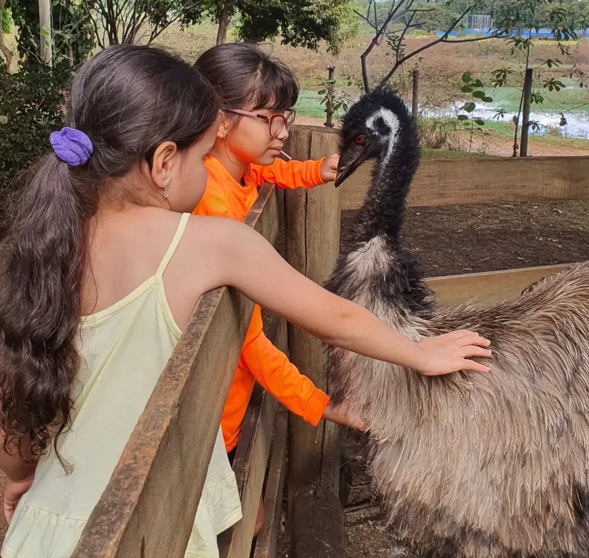 registros da visitação em fotos